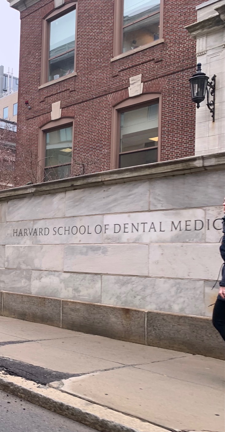 Harvard School of Dental Mediccal