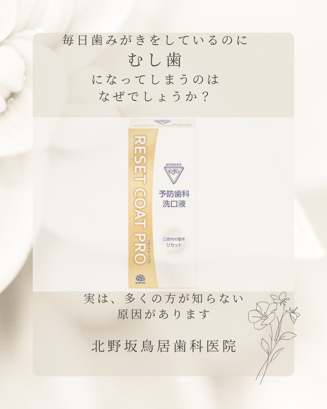 リセットコートプロ